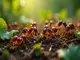 die-schoensten-ameisen-bilder-ein-blick-in-die-mikrowelt